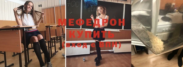 индика Белая Холуница