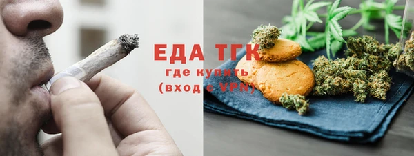индика Белая Холуница