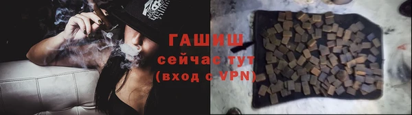 индика Белая Холуница