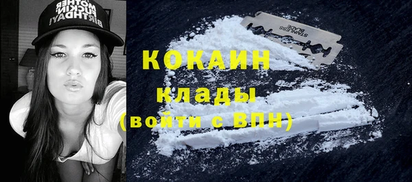 МДПВ Бикин