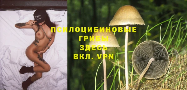 мдпв Бежецк