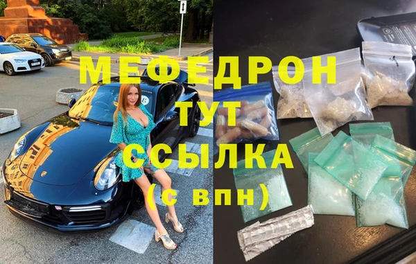 индика Белая Холуница