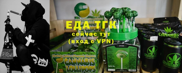 индика Белая Холуница