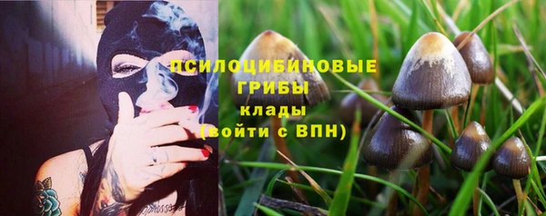 герыч Билибино
