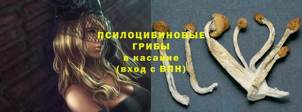 гашик Белая Калитва