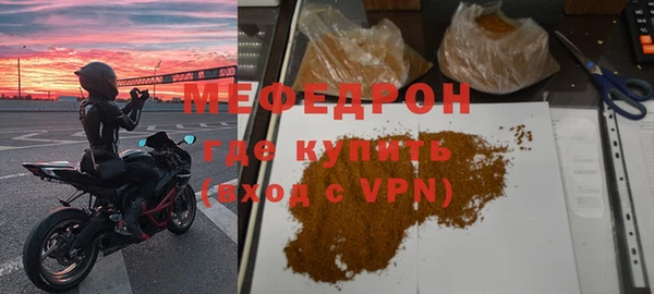 индика Белая Холуница